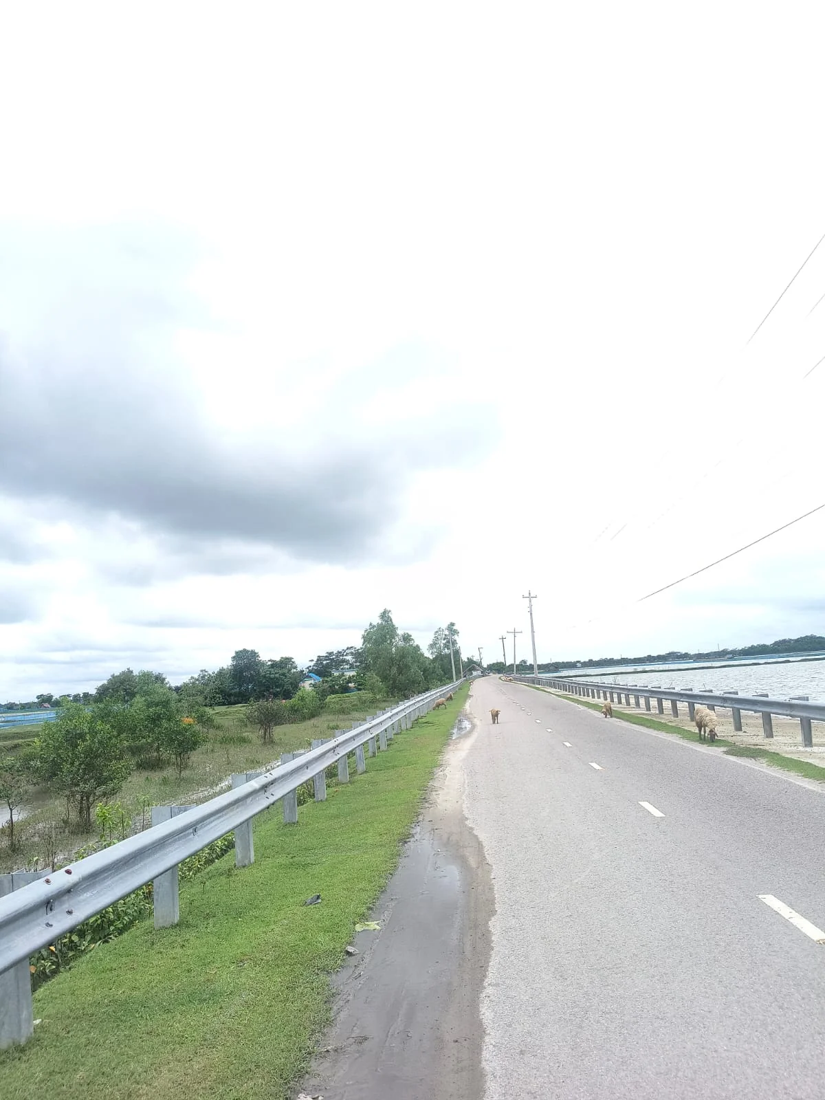 Guardrail along the roadside — Rampal new 1 km
